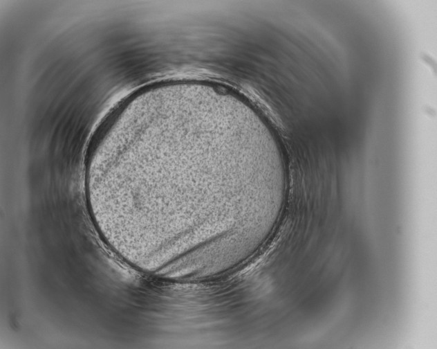 X0000096481232200802141714