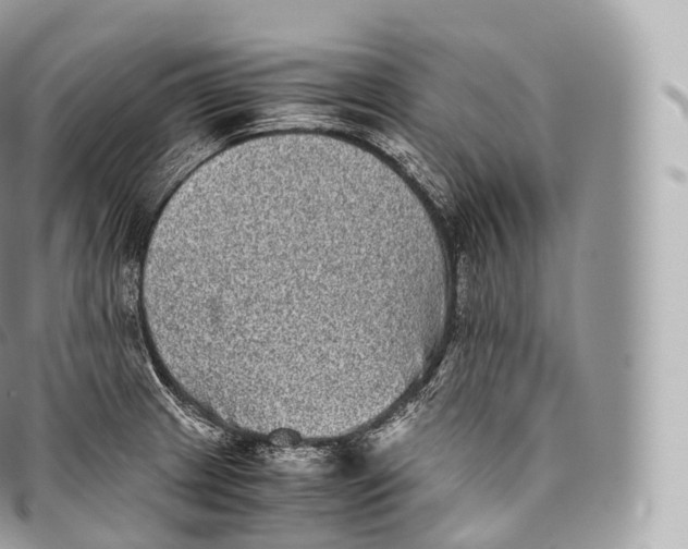 X0000096481233200802141714