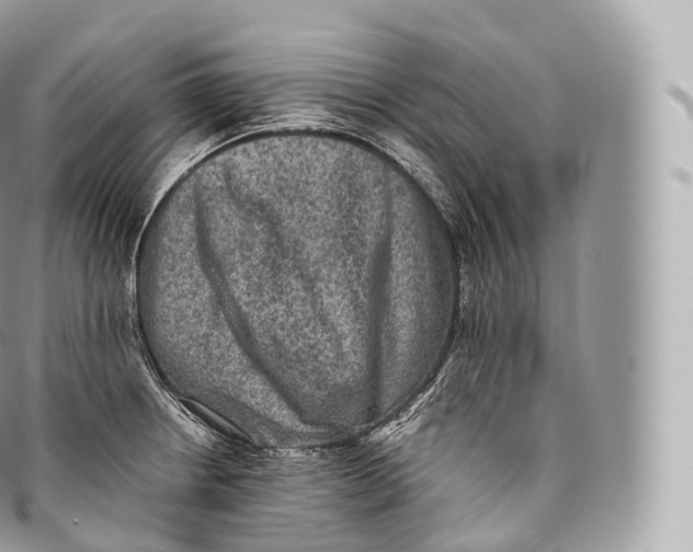 X0000096481234200802141714