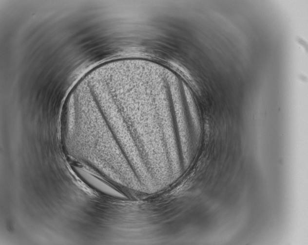 X0000096481236200802141714