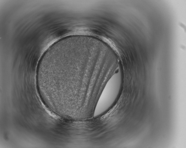 X0000096481237200802141714