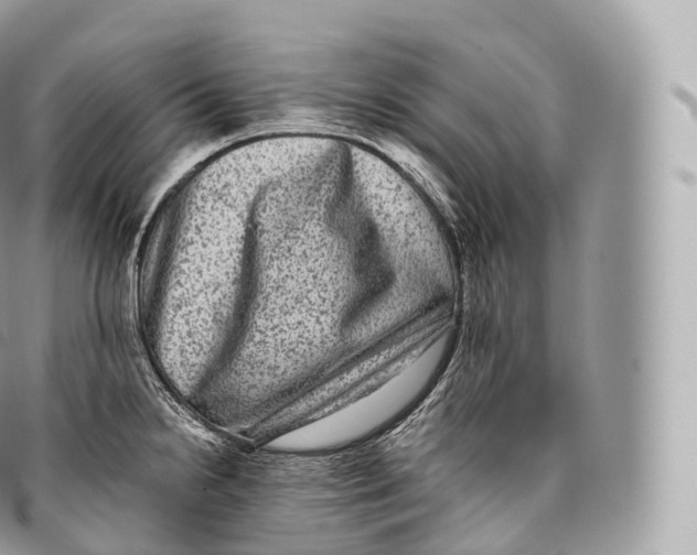 X0000096481238200802141714