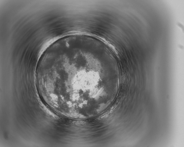 X0000096481239200802141714