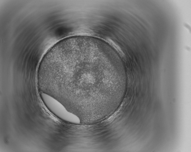 X0000096481240200802141714