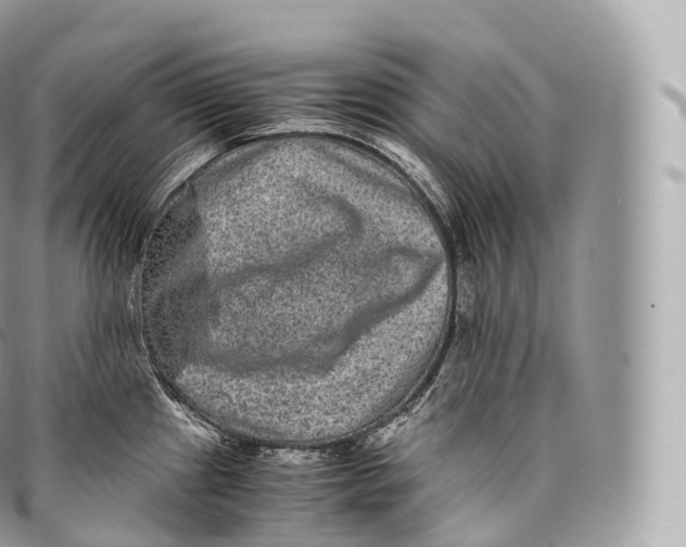 X0000096481241200802141714