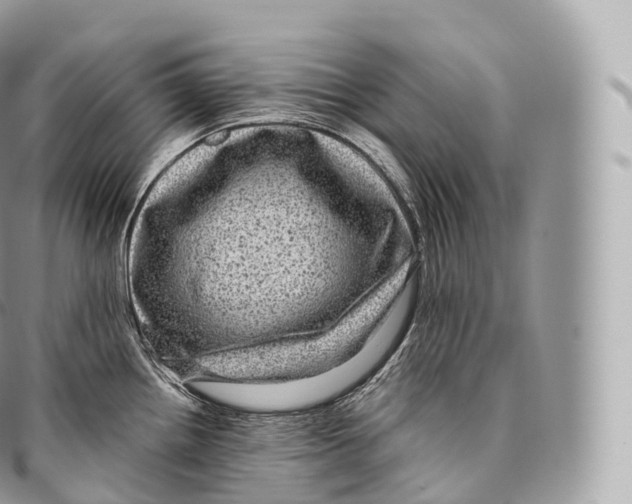 X0000096481242200802141714