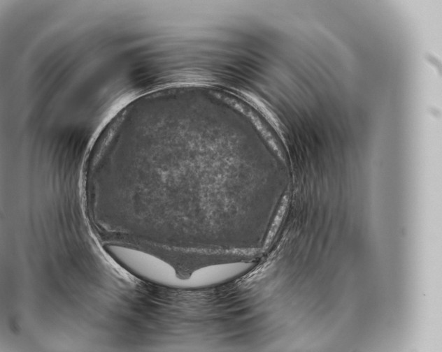 X0000096481243200802141714