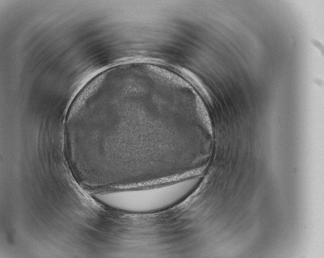 X0000096481244200802141714