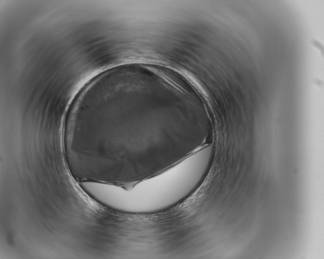 X0000096481246200802141714