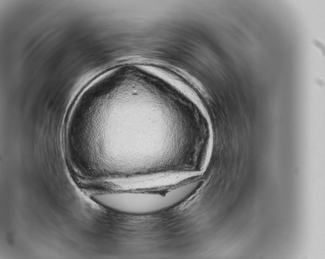 X0000096481247200802141714