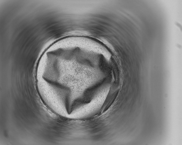 X0000096481248200802141714