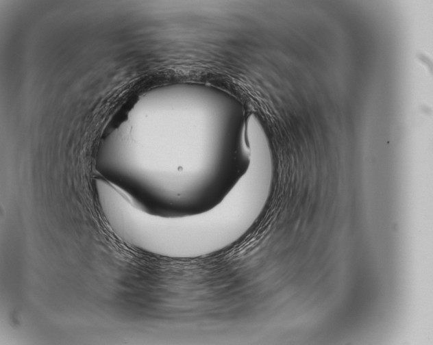 X0000096481249200802141713