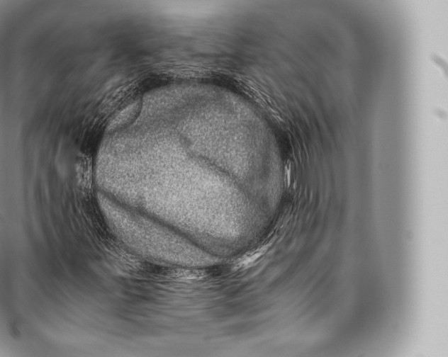 X0000096481251200802141713