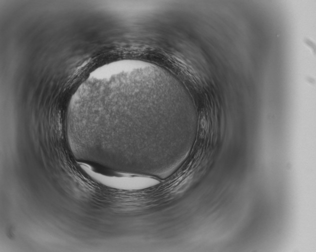 X0000096481252200802141713