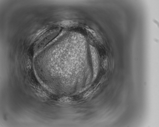 X0000096481253200802141713