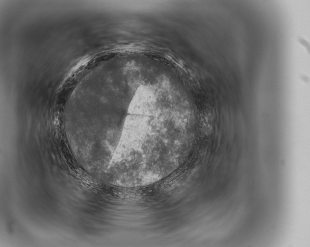 X0000096481254200802141713