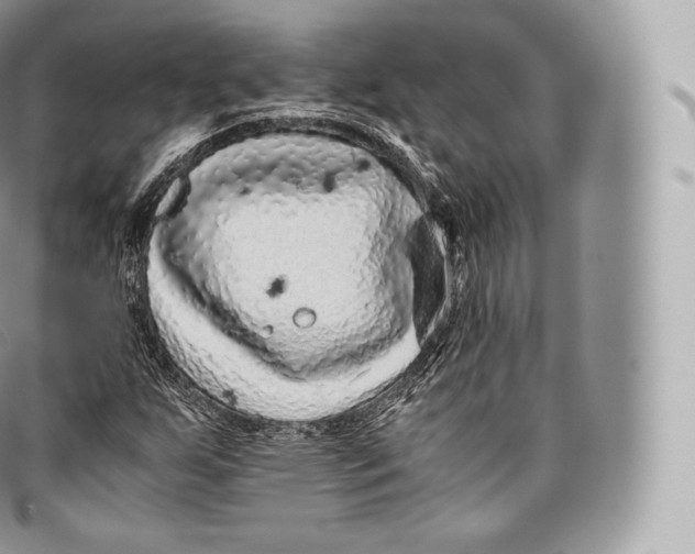 X0000096481255200802141713