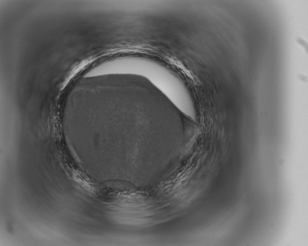 X0000096481256200802141713