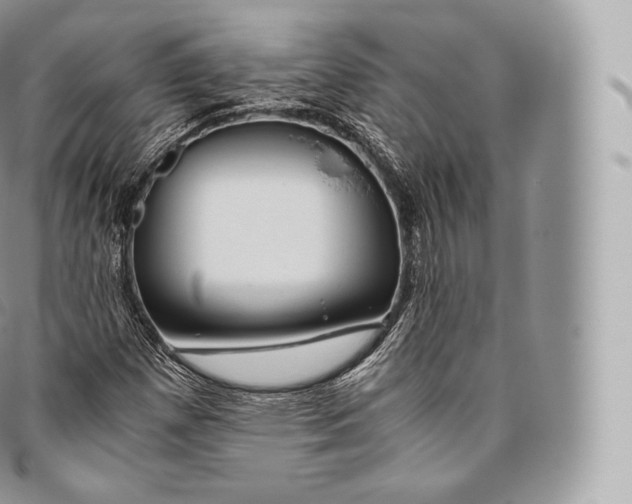 X0000096481257200802141713