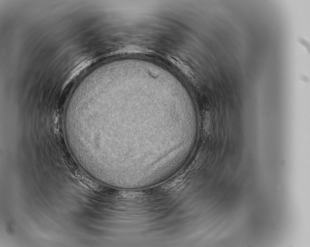 X0000096481258200802141713