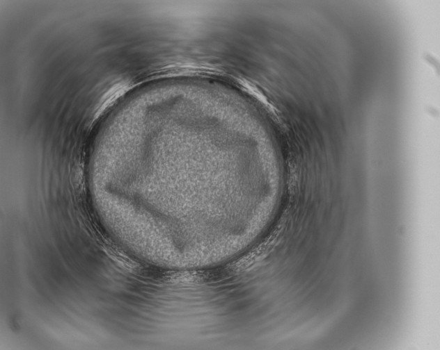 X0000096481259200802141713