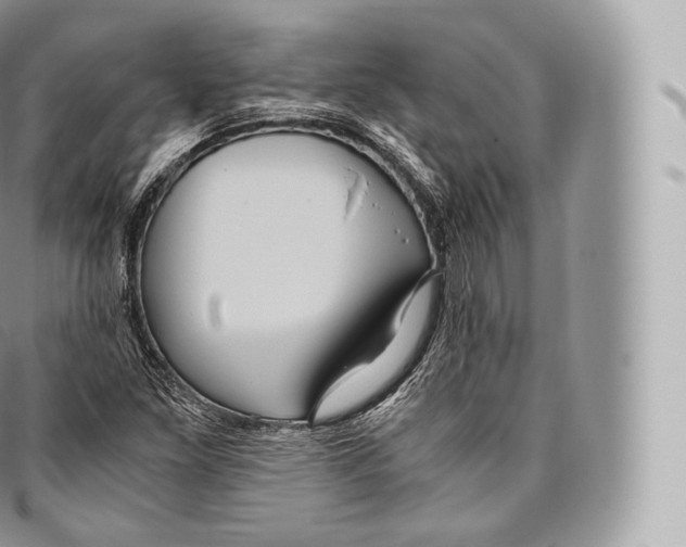 X0000096481261200802141713