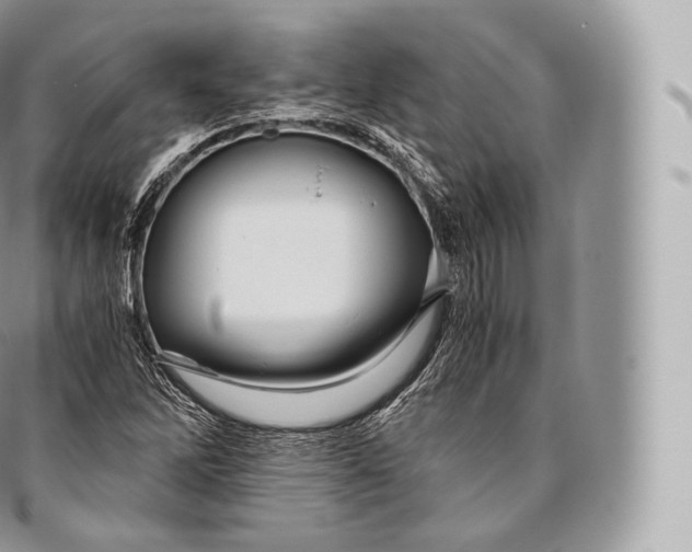 X0000096481262200802141713