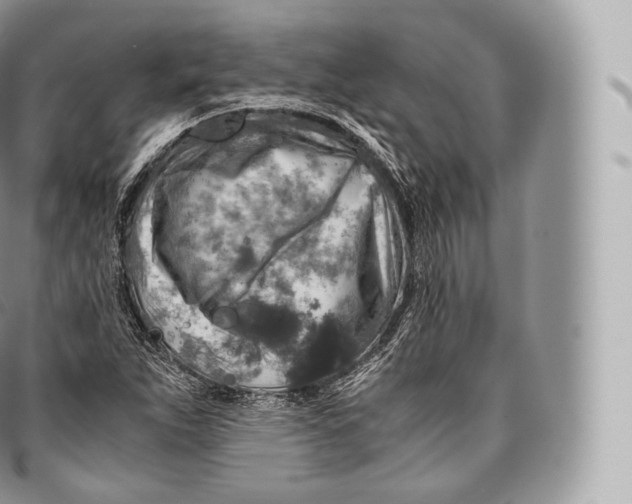 X0000096481263200802141713