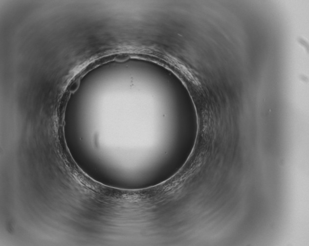 X0000096481264200802141713