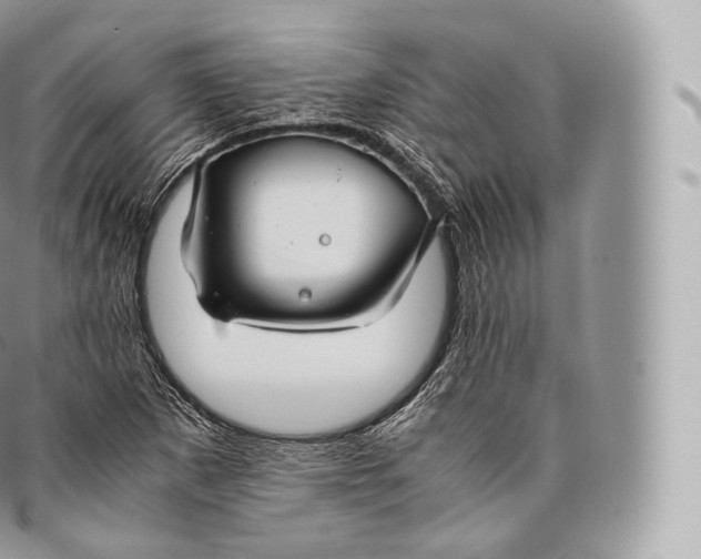 X0000096481265200802141713