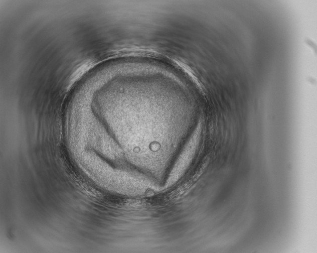 X0000096481267200802141713