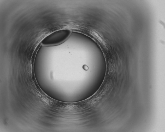 X0000096481268200802141713