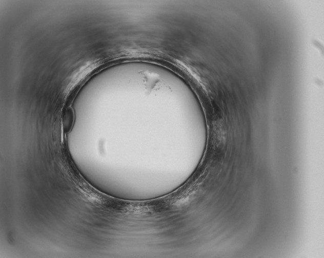 X0000096481269200802141713