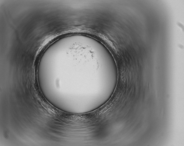 X0000096481270200802141713