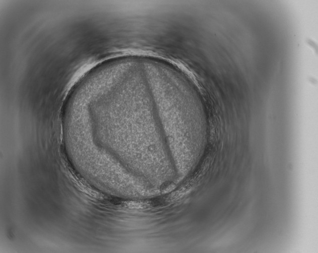 X0000096481271200802141713