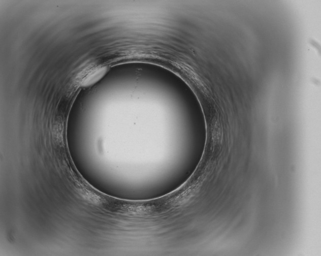 X0000096481273200802141713