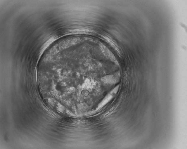 X0000096481275200802141713