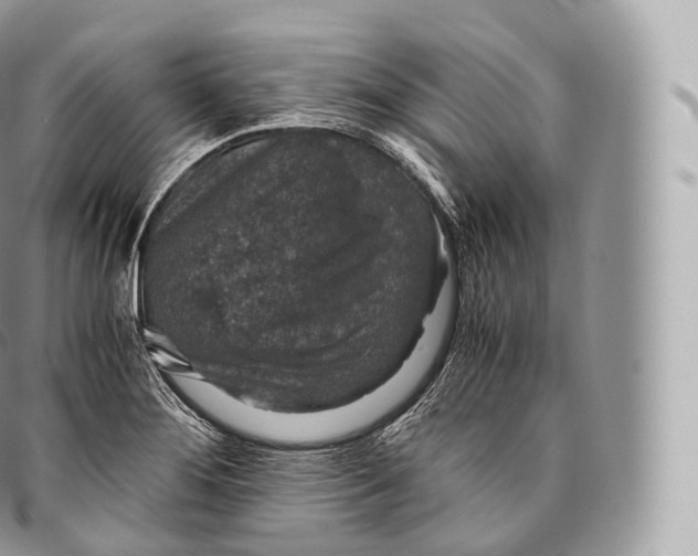 X0000096481276200802141713