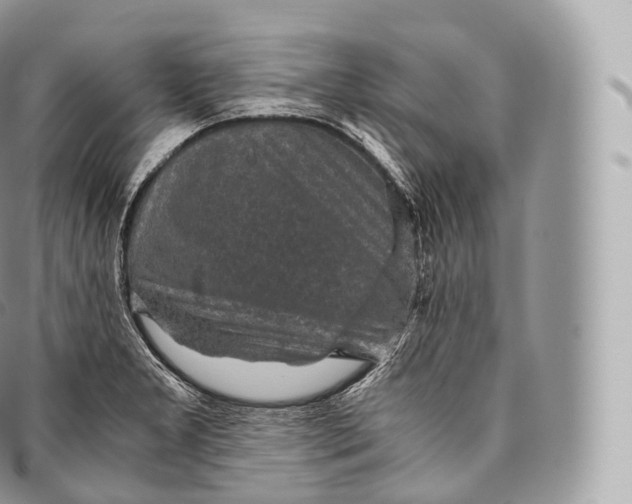 X0000096481277200802141713