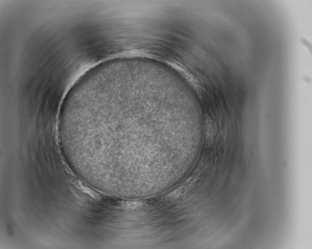 X0000096481278200802141713