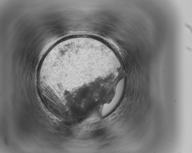 X0000096481279200802141713