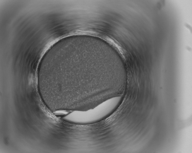 X0000096481280200802141713