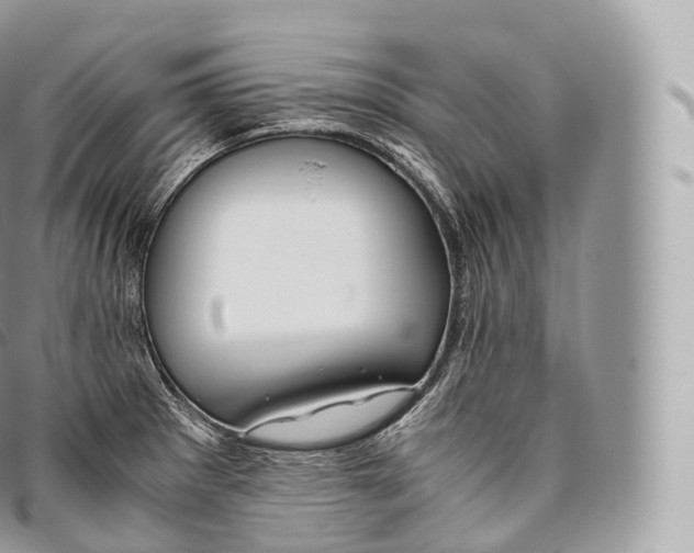 X0000096481281200802141713