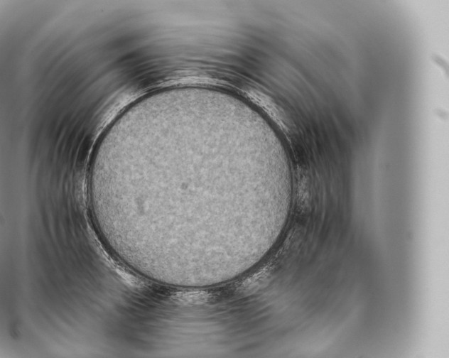 X0000096481282200802141713