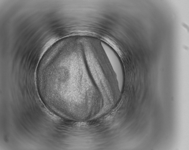 X0000096481283200802141713