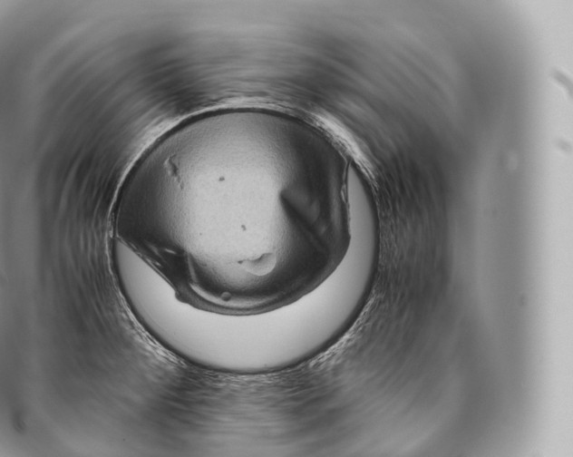 X0000096481284200802141713