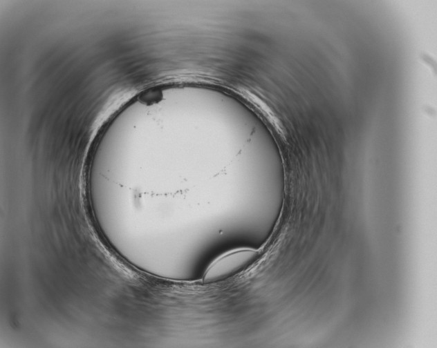 X0000096481285200802141713