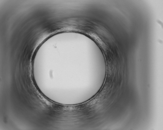 X0000096481286200802141713