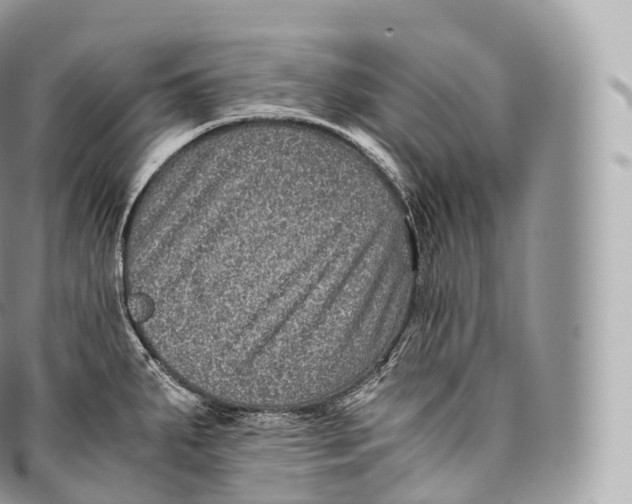 X0000096481287200802141713