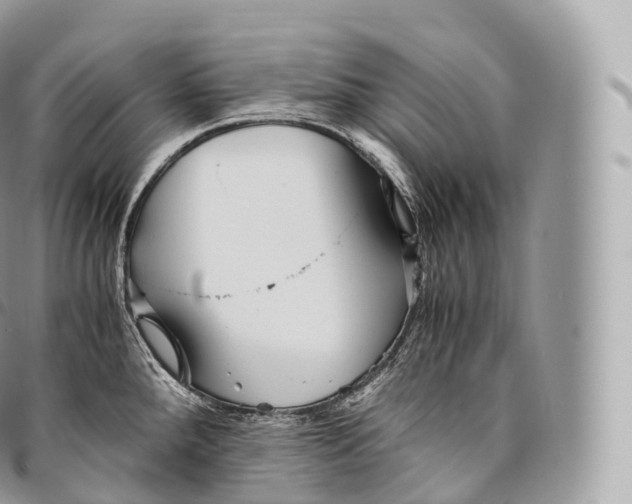 X0000096481288200802141713